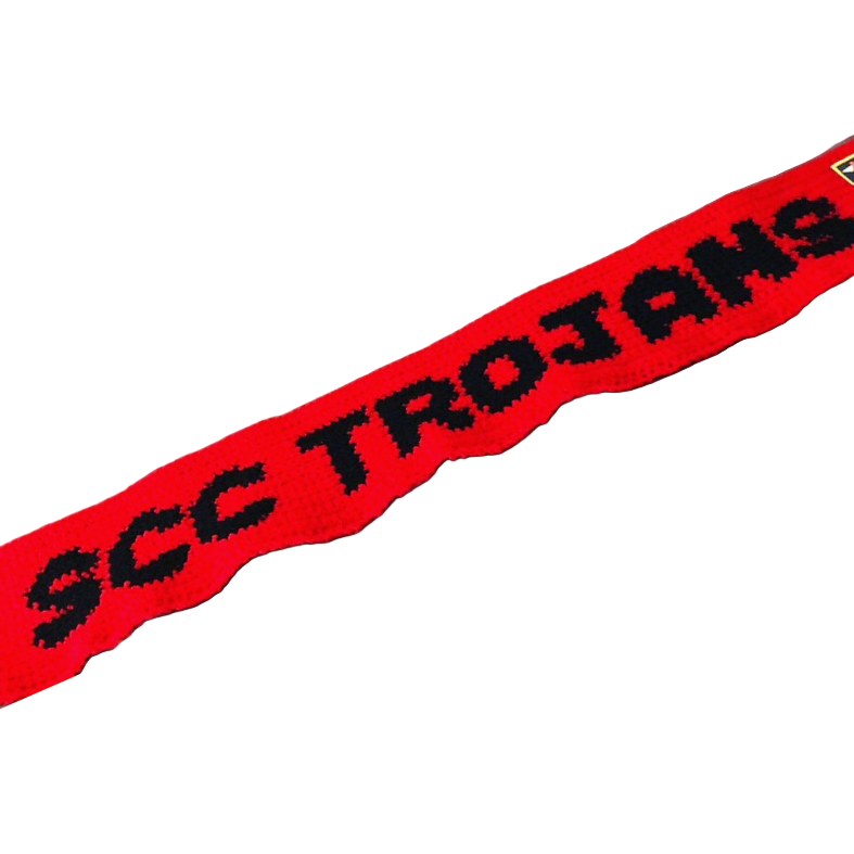 Sports Team Scarf - Bda ~ Made to Order